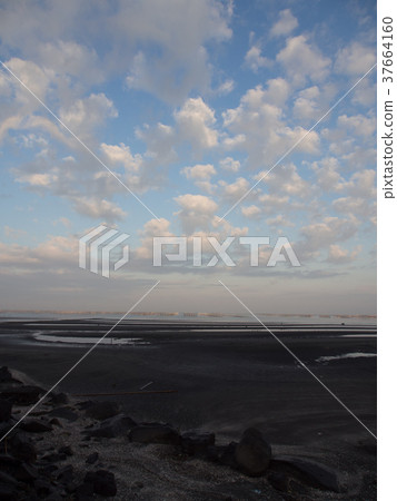 藍天和海岸 藍天和海岸 37664160