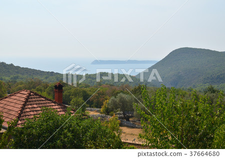 Seascape and village house roof Seascape and village house roof 37664680
