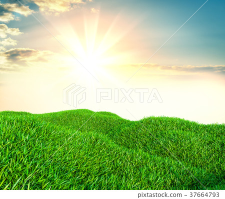 Sky and grass background, fresh green fields 37664793