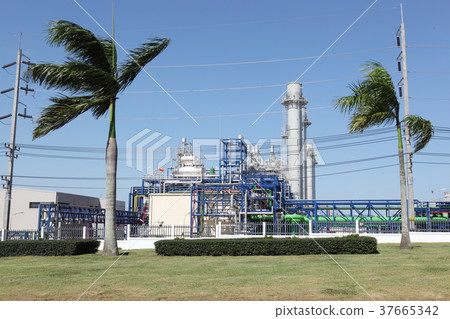 new factory new factory 37665342