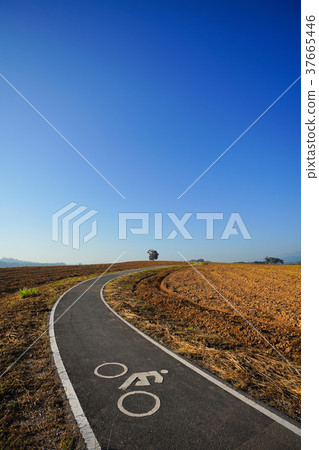 Bicycle lane, Bike lane in Chiang Rai, Thailand 37665446