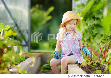 Adorable little girl wearing straw hat and childrens garden gloves playing with her toy garden tools 37665498