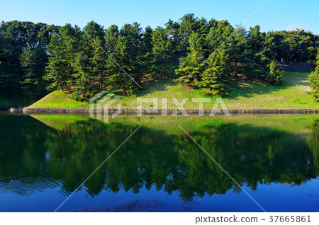 故宮櫻田 37665861