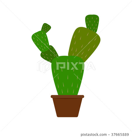 Abstract cute cactus 37665889
