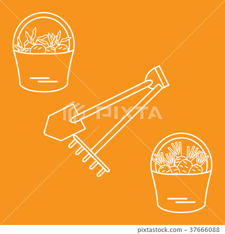 harvest harvest 37666088