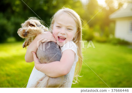 Cute little girl holding her funny yorkshire terrier dog Cute little girl holding her funny yorkshire terrier dog 37666446