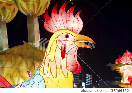 雞，燈籠，燈會，チキン、ランタン、ランタンフェスティバル、Chicken, lantern, 37666580