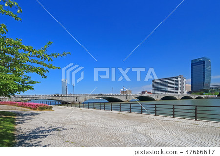 新鮮的綠色和Kayo橋[新潟市] 37666617
