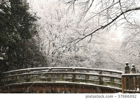 Snow scene in Oji Otosui Park, Kita-ku, Tokyo 37666892