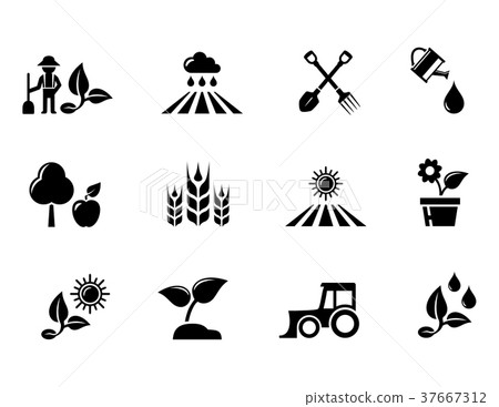 agriculture and horticulture or gardening concept agriculture and horticulture or gardening concept 37667312