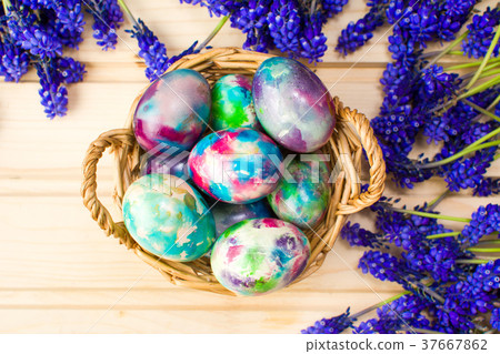 Painted Easter eggs and purple spring flowers Painted Easter eggs and purple spring flowers 37667862