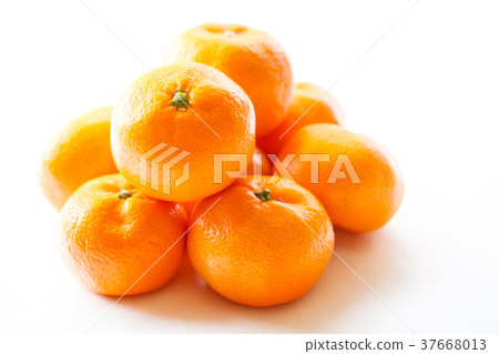 橘子 37668013