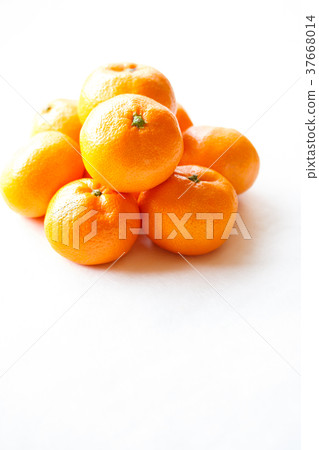 橘子 37668014