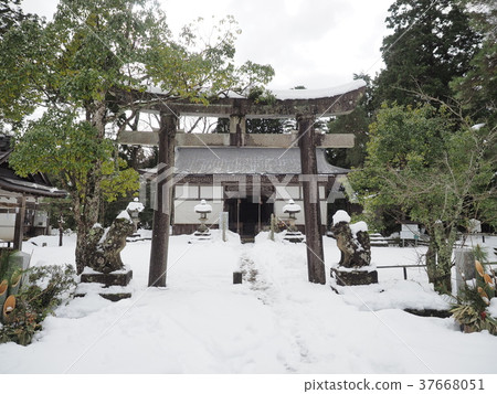 Urawa Shrine Snow Urawa Shrine Snow 37668051