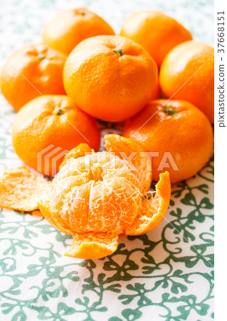 橘子 橘子 37668151