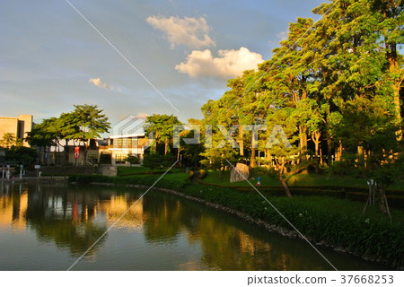 the University 37668253