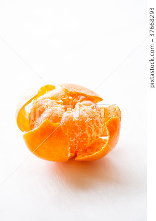 橘子 37668293