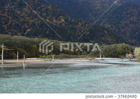 Kamikochi Taisho Pond死樹 37668480