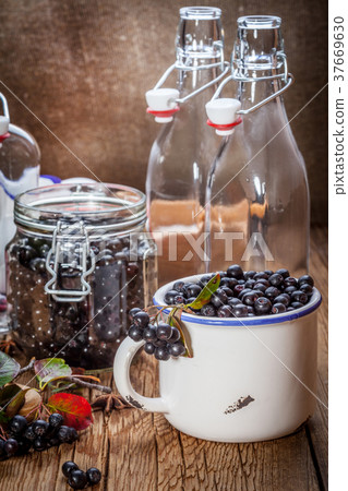 Fruits of black chokeberry prepared for processing 37669630