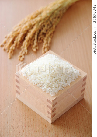 早稻米 37670348