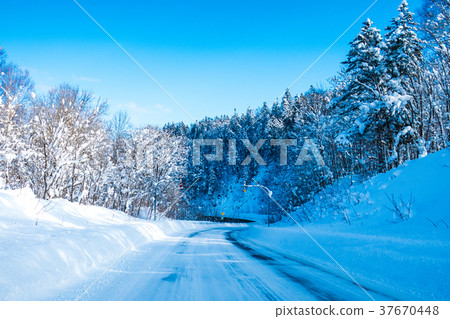 斯諾伊路冬天路 37670448