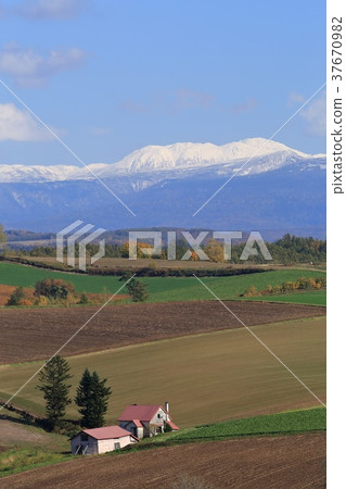 北海道美瑛山的風景 北海道美瑛山的風景 37670982