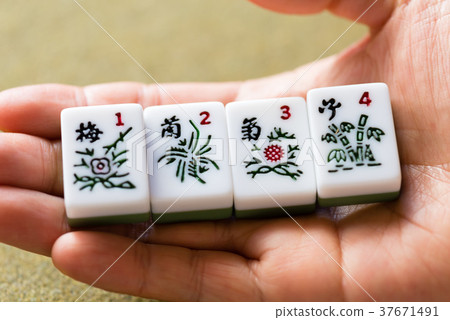 Plum, bamboo, four flowers, four Gentlemen among Flowers, mahjong, sparrow, plant 37671491