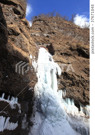 Ice-waterfall in the Uzu River valley 37671848