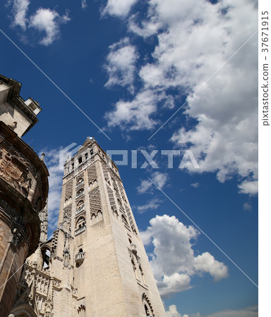 Cathedral of Seville, Andalusia, Spain  37671915