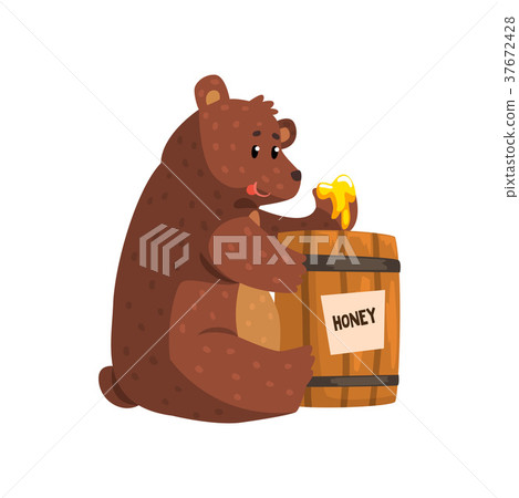 Funny brown bear eating honey from wooden barrel 37672428