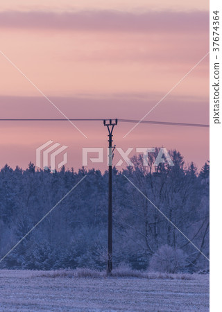 Single electrical pillar in front of frozen trees Single electrical pillar in front of frozen trees 37674364