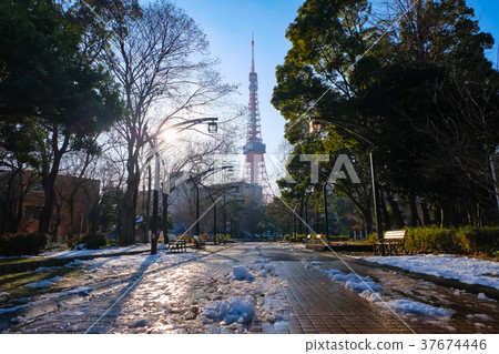 白雪皚皚的芝公園和東京鐵塔 37674446