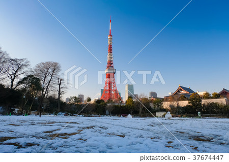 雪芝公園和東京鐵塔 37674447