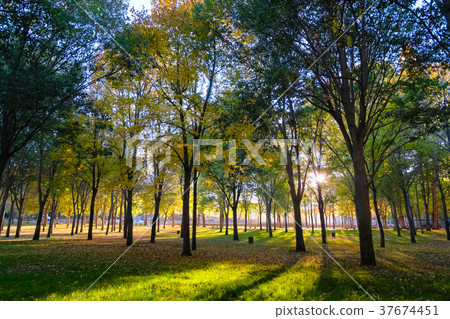 Sunset park Segovia Spain Sunset park Segovia Spain 37674451