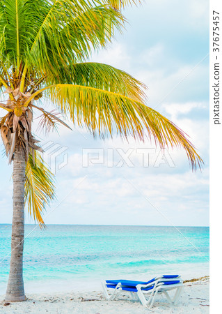 Idyllic tropical beach with white sand, turquoise Idyllic tropical beach with white sand, turquoise 37675457
