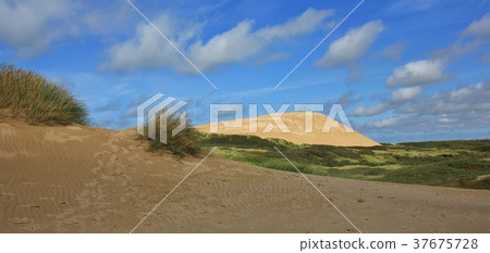Rubjerg Knude, sand dune at the coast of Denmark. 37675728