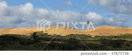 Panoramic image of the Rubjerg Knude. 37675736