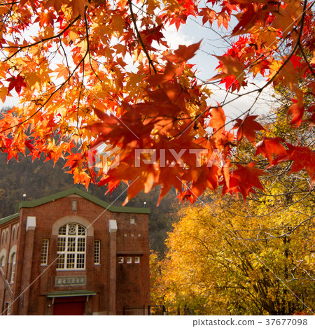 公園在瀑布秋天葉子 37677098