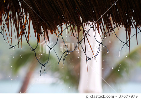 Hut roof, umbrellas and rainy on the beach 37677979
