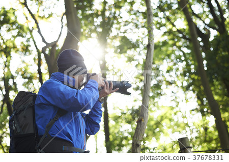 Mountain walking 37678331