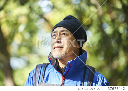 Mountain walking Mountain walking 37678442