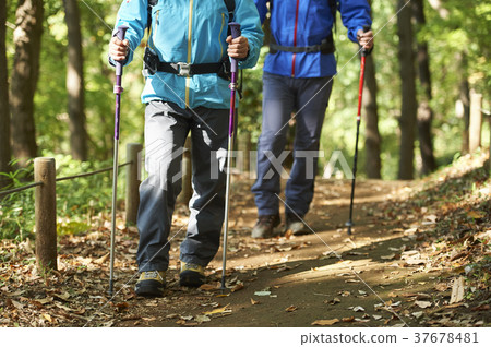 山地散步 山地散步 37678481