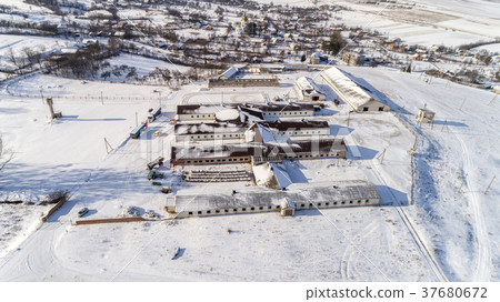 aerial view of the animal farm in winter 37680672