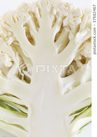 Cauliflower, simple, white background Cauliflower, simple, white background 37682467