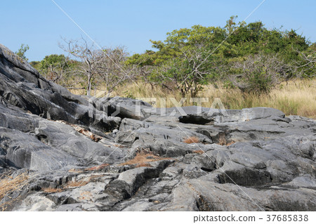 Natural rock at the area of the hill. Natural rock at the area of the hill. 37685838