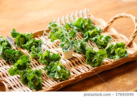 Vegetable garden Vegetable garden 37693040