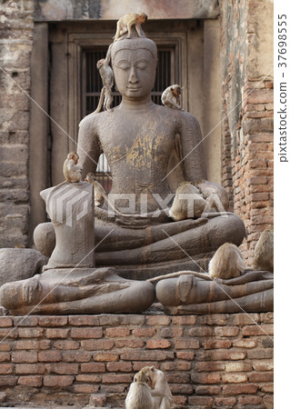Monkey family sitting ancient damage buddha statue Monkey family sitting ancient damage buddha statue 37698555