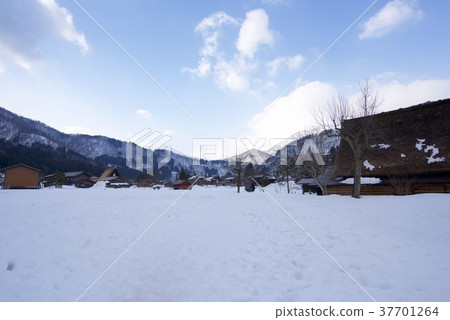 Winter Shirakawa Town 37701264