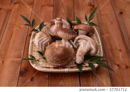 蝦香菇 37701712