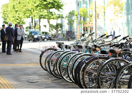 自行車停放處，自行車內襯人行道與樹木 37702202